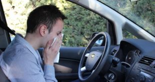 combatir alergias al volante