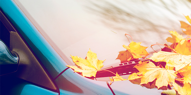 El mantenimiento de los vehículos con el comienzo del otoño
